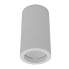 XGESS CEILING VÝPRODEJ Stropní, přisazené, bodové svítidlo, materiál sádra, povrch bílá, pro žárovku 1x35W, GU10, ES50, 230V, IP20, tř.1, rozměry d=70mm, h=90mm náhled 2
