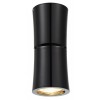 LINO Stropní přisazené bodové svítidlo, nastavitelný směr svícení, materiál hliník, povrch bílá, pro žárovku 1x50W, GU10, 230V, IP20, tř.1, rozměry d=68mm, h=160mm. náhled 2