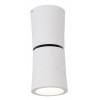 LINO Stropní přisazené bodové svítidlo, nastavitelný směr svícení, materiál hliník, povrch bílá, pro žárovku 1x50W, GU10, 230V, IP20, tř.1, rozměry d=68mm, h=160mm. náhled 1
