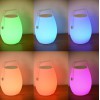 BOOMBOX Venkovní přenosná lampa, těleso plast opál, LED 10W, 800lm, teplá 3000K, ovladačem stmívatelná, RGBW, USB nabíjení, IP44, rozměry d=220mm, h=320mm, Bluetooth reproduktor. náhled 2