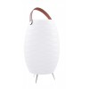 BOOMBOX Venkovní přenosná lampa, těleso plast opál, LED 5W, 400lm, teplá 3000K, ovladačem stmívatelná, RGBW, USB nabíjení, IP44, rozměry d=220mm, h=560mm, Bluetooth reproduktor. náhled 1