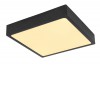 ECHO VÝPRODEJ Stropní přisazené svítidlo, základna hliník, povrch černá, difuzor plast opál, LED 22W, 1980lm, neutrální 4000K, Ra80, stmívatelné TRIAC stmívači, 230V, IP20, tř.2, rozměry 170x170x26mm náhled 1