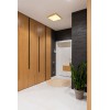 TIBEY Stropní přisazené svítidlo, těleso kov, povrch mosaz, difuzor plast opál, LED 22W, teplá 3000K, 2350lm, 230V, IP20, tř.1, rozměry 350x350x30mm. náhled 5