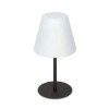 ARCAIDA Stojací venkovní lampa, těleso kov, povrch černá antracit, difuzor plast opál, pro žárovku 1x42W, E27, IP44, rozměry d=280mm, h=529mm. náhled 1