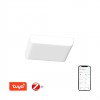 PRACTICO Podhledové svítidlo, plast bílá, dif plast opál, LED 24W, 2160lm, dálk ovl, nebo smart tel. TUYA, Matter, Zigbee 3.0, nast teplota CCT nast teplá 2700K-denní 6500K, stmív 230V, IP44, 180x180x27mm náhled 2
