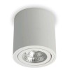 ROLL Stropní, přisazené, bodové svítidlo, výklopné +-20°, základna hliník, povrch bílá, LED 6W, 650lm, teplá 3000K, Ra80, 230V, IP20, tř.2, rozměry d=90mm, h=95mm náhled 2