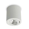 ROLL Stropní, přisazené, bodové svítidlo, výklopné +-20°, základna hliník, povrch bílá, LED 6W, 650lm, teplá 3000K, Ra80, 230V, IP20, tř.2, rozměry d=90mm, h=95mm náhled 1