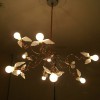 BIRDIE Závěsné svítidlo lustr, závěs ovinutý vodiči v barvě červená, dekorativní křidélka z husího peří, 12x10W, E27, 230V/24V, IP20, rozměry d=700mm, h=1000mm, záv max 2600mm náhled 10