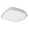 AUSTIN Stropní venkovní svítidlo, těleso hliník černá mat, difuzor plast opál, LED 1x20W, neutrální 4000K, 2000lm, 230V, IP65, tř.1. rozměry 50x250x250mm náhled 3