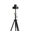 LUTON Stojací lampa s objímkou, stojanový podstavec, povrch černá s mosaznými prvky, pro žárovku 1x40W, E27, 230V, IP20. rozměry 600x1000-1560mm. náhled 2