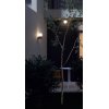 BULK Nástěnné venkovní svítidlo, těleso hliník, povrch tm. šedá, difuzor plast opál, pro žárovku 1x28W, E27, 230V, IP44, tř.1, rozměry d=150mm, h=227mm. náhled 3