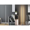 LED smart lampa Stojací lampa, těleso kov, povrch černá, dif plast opál, Smart, Tuya, WiFi, LED 18W, 550lm, teplá 3000K, dálk. ovl. (součástí) stmívatelné, RGB, Ra80, 230V, IP20, rozměry d=155mm, h=1480mm. náhled 5