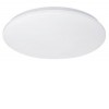LED SMART WIFI VÝPRODEJ Stropní přisazené svítidlo, těleso kov, difuzor plast opál, LED 28W, 1960lm, Tuya CCT přepínatelná teplota teplá 3000K, neutrální 4000K, denní 6500K, stmív, 230V, Ra80, IP20, rozměry d=380 náhled 2