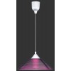 DIEGO Závěsné svítidlo, těleso plast, povrch hliník, sklo opál, imitace vroubkování, pro žárovku 1x60W, E27, 230V, IP20, tř.1, d=300mm, závěsný kabel l=1250mm, lze zkrátit. náhled 5