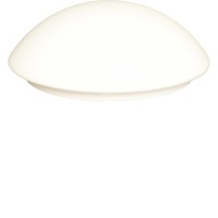 BARBORA Stropní přisazené svítidlo, těleso kov, povrch bílá, difuzor sklo opál, pro žárovku 1x100W/2x60W/2x75W, E27, 230V, IP20, tř.1, rozměry dle typu.