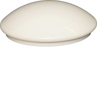 ANETA Stropní, přisazené svítidlo, základna kov, povrch bílá, difuzor plast opál se třpyt. efektem, LED 16W, 1100lm, teplá 2700K/neutrální 4000K, 230V, IP20, rozměry d=290mm, h=90mm.