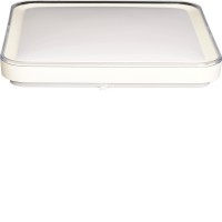 ROSA Stropní svítidlo, těleso kov, povrch bílá, difuzor plast opál, LED 36W, 2520lm, dálk.ovl. nast. CCT teplá 3000K-denní 6000K, stmívání, 230V, IP20, rozměry 500x500x110mm.