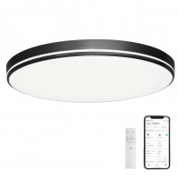 NEO LITE AREAS, TUYA, LED 24W, 48W, CCT Stropní svítidlo, základna kov, povrch bílá, černá, kávová, difuzor plast opál, LED 24W, 48W, dálk ovl. Beacon (včetně), nebo telefon TUYA WiFi, stmívatelné,  nast CCT  teplá 2700K - denní 6400K, Ra80, 230V, IP20,