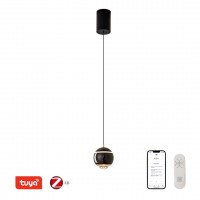 DORMINE Závěsné svítidlo, kov, černá, krycí sklo čiré, LED 6W, 480lm, smart TUYA, Matter, Zigbee 3.0, dálk ovl. (souč.) nebo tel.  CCT nast teplá 2700K - denní 6500K, stmív., 230V, IP20, d=100mm, závěs lanko l=1500mm, lze zkr, svítí dolů.