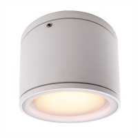 MOB I Stropní stropní venkovní svítidlo, materiál hliník, povrch bílá, antracit, difuzor plast opál, pro LED 1x9W, GX53, 230V, IP54, tř.1, rozměry d=108mm, h=92mm