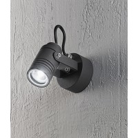 WALKER Venkovní přisazené, bodové svítidlo, těleso hliník, povrch grafitově černá, krycí sklo čiré, pro žárovku 1x35W, GU10, 230V, IP54, rozměry d=60mm.