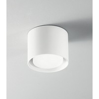 GEO Stropní přisazené svítidlo, těleso hliník, difuzor plast opál, povrch bílá mat/černá mat, pro žárovku 1x15W, GX53, 230V, IP20, rozměry d=100mm, h=80mm.