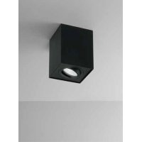CENTRIC Stropní bodové svítidlo, nastav. směr svícení +-30°, těleso kov, povrch bílá mat/černá mat, pro žárovku 1x35W, GU10, 230V, IP20, tř.1, rozměry 95x95x125mm.