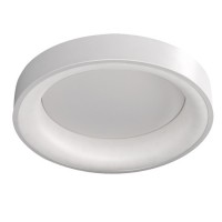 TREVISO Stropní přisazené svítidlo, těleso kov, povrch bílá/šedá, difuzor plast opál, LED 48W, 2880lm, dálk. ovl. CCT přepínatelná teplota teplá 3000K, neutrální 4000K, denní 6500K, stmív, 230V, Ra80, IP20, rozměry d=450mm, h=100mm.