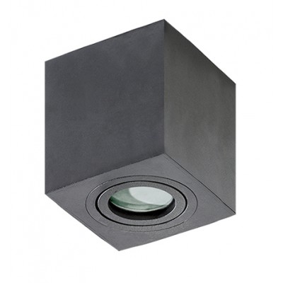 BRANT Stropní, přisazené, bodové svítidlo, nastavitelný směr svícení, těleso kov a hliník, povrch černá, pro žárovku 1x50W, GU10, 230V, IP20, rozměry: 90x90mm, h=95mm.