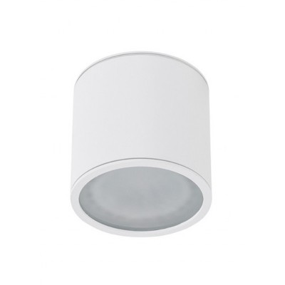 ALIX Stropní přisazené venkovní svítidlo, těleso kov, povrch bílá, dif sklo opál, pro žárovku 1x35W, GU10, 230V, IP65, rozměry d=120mm, h=113mm.