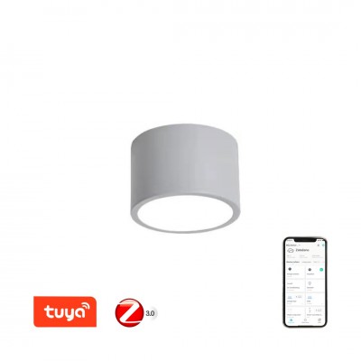 RONDATE Stropní svítidlo, kov, šedá,  dif plast opál, LED 12W, 840lm, smart TUYA, Matter, Zigbee 3.0, dálk ovl. (souč) nebo mob. tel. CCT nast teplá 2700K-denní 6500K, stmív 230V, d=150mm, h=100mm