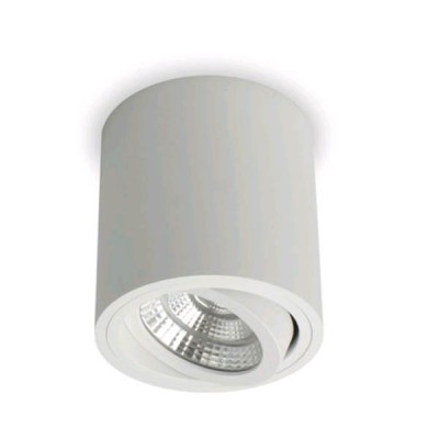 ROLL Stropní, přisazené, bodové svítidlo, výklopné +-20°, základna hliník, povrch bílá, LED 6W, 650lm, teplá 3000K, Ra80, 230V, IP20, tř.2, rozměry d=90mm, h=95mm