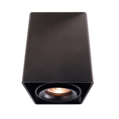 MONA I Přisazené stropní svítidlo, výklopné sv.zdr. +-45°, materiál hliník, povrch černá, pro žárovku 1x50W, GU10, 230V, IP20, tř.1, rozměry 93x93x120mm