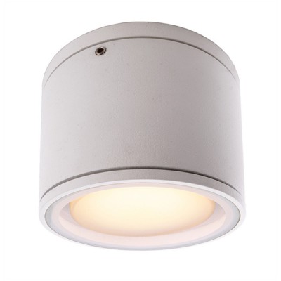 MOB I Stropní stropní venkovní svítidlo, materiál hliník, povrch bílá, antracit, difuzor plast opál, pro LED 1x9W, GX53, 230V, IP54, tř.1, rozměry d=108mm, h=92mm