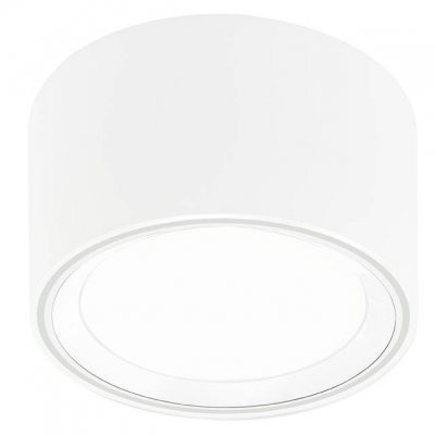 FALLON VÝPRODEJ Stropní svítidlo, těleso kov bílá, s bílým dekorativním kroužkem, difuzor plast opál, pro LED 8,5W, teplá 2700K, 500lm, stmívatelné vyp/zap vypínačem 230V, IP20, tř.2, rozměry d=100mm, h=6