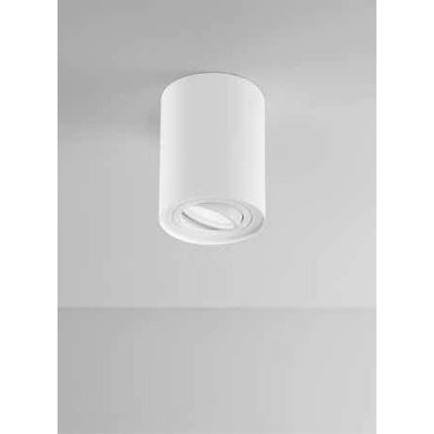 CENTRIC Stropní bodové svítidlo, nastav. směr svícení +-30°, těleso kov, povrch bílá mat/černá mat, pro žárovku 1x35W, GU10, 230V, IP20, tř.1, rozměry d=95mm, h=125mm.