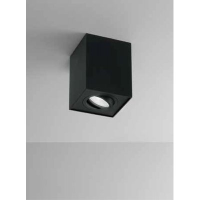 CENTRIC Stropní bodové svítidlo, nastav. směr svícení +-30°, těleso kov, povrch bílá mat/černá mat, pro žárovku 1x35W, GU10, 230V, IP20, tř.1, rozměry 95x95x125mm.
