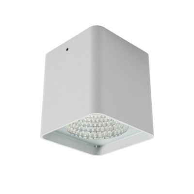 XIA Stropní bodové venkovní svítidlo, těleso hliník, povrch bílá mat, krycí sklo čiré, LED 19W, 1430lm, teplá 3000K, stmív. TRIAC, vyzař. úhel 40°, Ra80, 230V, IP65, tř.1, rozměry 95x107x95mm.