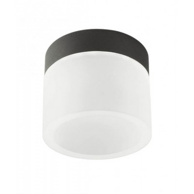 NAIDA Stropní bodové svítidlo, těleso kov, povrch bílá mat/chrom/černá mat, dif plast opál, LED 6W, přepín. teplota CCT teplá 3000K-neutr 4000K, 550lm, Ra90, 230V, do koupelny IP44, tř.1, rozměry d=100mm, h=85mm.