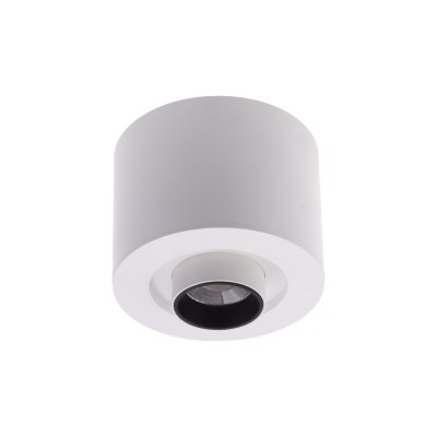 ALIMO Stropní/podhledové svítidlo, nastav. směr svícení, plast bílá, LED 6W, přepín. teplota CCT teplá 3000K, neutr 4000K, denní 6500K, 650lm, Ra80, 230V, do koupelny IP44, tř.1, rozměry d=92mm, h=77m