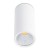 Stropní, přisazené, bodové, svítidlo, těleso hliník, povrch bílá, nebo černá, sklo čiré, LED 15W, teplá 2700K, 1340lm/cca 70W žár, vyzař úhel 60°, Ra80, 230V, IP20, tř.1, d=95mm, h=165mm