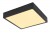 ECHO VÝPRODEJ Stropní přisazené svítidlo, základna hliník, povrch černá, difuzor plast opál, LED 22W, 1980lm, neutrální 4000K, Ra80, stmívatelné TRIAC stmívači, 230V, IP20, tř.2, rozměry 170x170x26mm