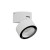 SHAFT Stropní bodové venkovní svítidlo, výklopné, těleso hliník, povrch bílá mat, krycí sklo čiré, LED 13W, 990lm, teplá 3000K, vyzař. úhel 63°, Ra80, 230V, IP65, tř.1, rozměry d=90mm, h=90mm.