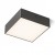 LARISA SQ 17 Stropní, přisazené svítidlo, těleso kov, povrch černá, difuzor plast opál, LED 15W, 1200lm, teplá 3000K, Ra80, 230V, IP20, rozměry 170x170x58mm