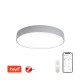 RONDATE Stropní svítidlo, kov, šedá, dif plast opál, LED 50W, 3500lm, smart TUYA, Matter, Zigbee 3.0, dálk ovlad (souč) nebo mob. tel. CCT nast teplá 2700K-denní 6500K, stmív 230V, d=600mm, h=100mm