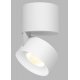 KLIP ON LED 11W Stropní přisazené bodové svítidlo, nastavitelný směr svícení, těleso hliník, povrch bílá/bílá, LED 1x11W, 770lm, teplá 3000K, Ra80, stmív DALI/PUSH, 230V, IP20, rozměry d=77mm, výška: 98,5mm