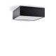 FENDY SQ 12W DALI Stropní přisazené svítidlo, těleso kov, povrch černá, difuzor plast opál, LED 12W, 900lm, neutrální 4000K, stmív. DALI, 230V, IP20, rozměry 120x120x55mm.