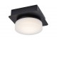 ATTICHUS Stropní přisazené svítidlo, těleso kov, povrch černá mat, difuzor plast opál, LED 5W, neutrální 4000K, 670lm, 230V, do koupelny IP44, tř.1, rozměry 110x130x70mm.