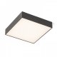 LARISA SQ 30 Stropní, přisazené svítidlo, těleso kov, povrch černá, difuzor plast opál, LED 30W, 2400lm, teplá 3000K, Ra80, stmívatelné TRIAC, 230V, IP20, rozměry 300x300x58mm